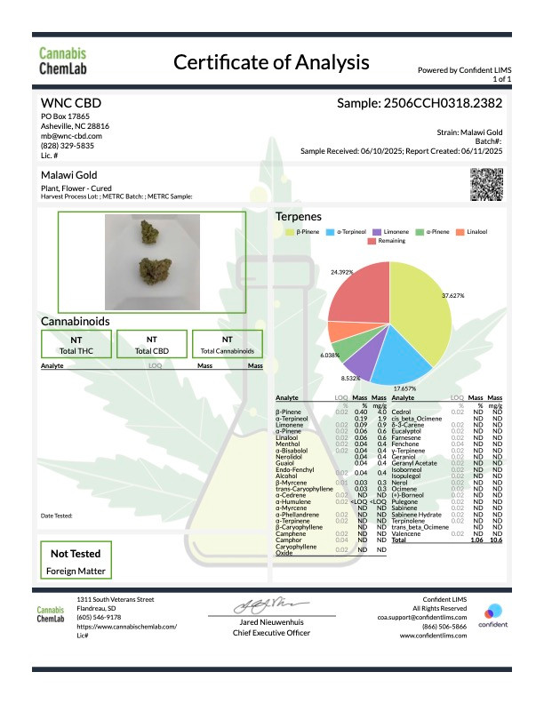 THCa Malawi Gold - Image 2